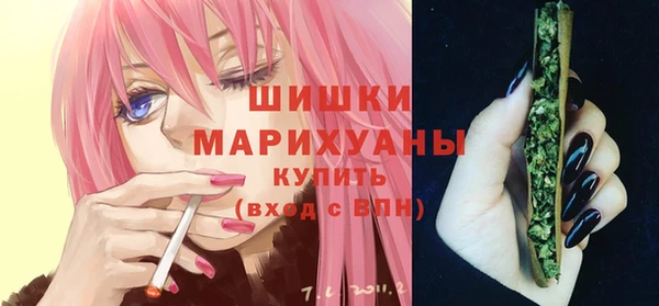 ГАЛЛЮЦИНОГЕННЫЕ ГРИБЫ Дмитриев