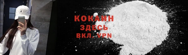 эйфоретик Арсеньев