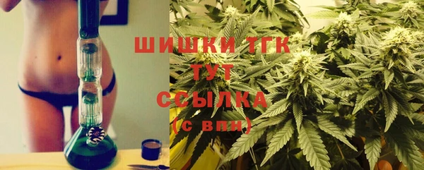 эйфоретик Арсеньев