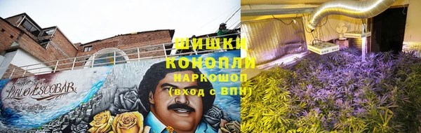 трава Аркадак
