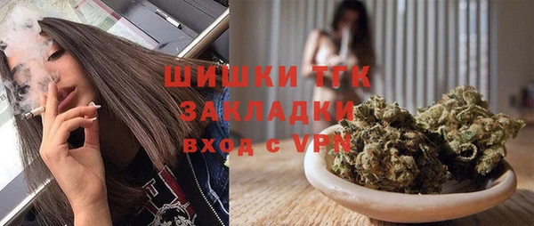 эйфоретик Арсеньев