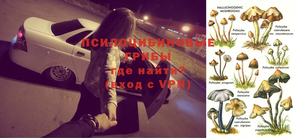 трава Аркадак