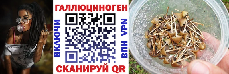 Галлюциногенные грибы прущие грибы  Аша 