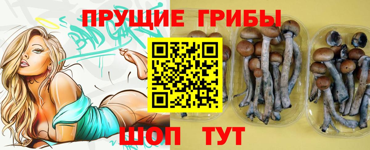 Псилоцибиновые грибы мухоморы  Псилоцибиновые грибы GOLDEN TEACHER  Вход с VPN  Аша 