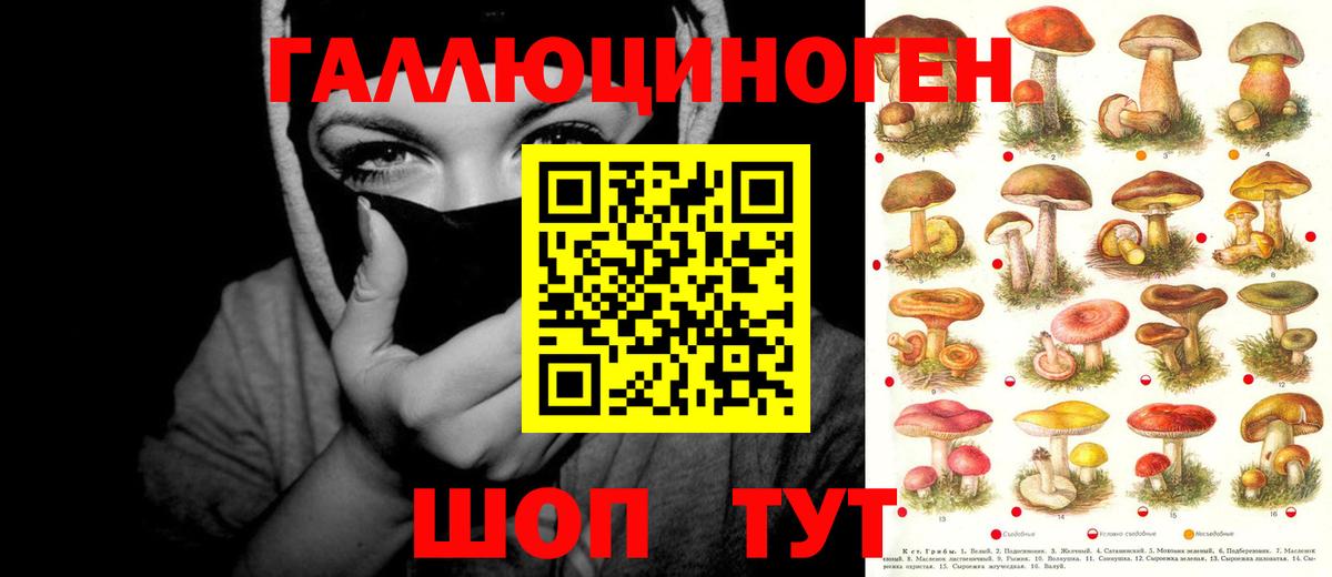 Псилоцибиновые грибы ЛСД  Аша  Галлюциногенные грибы ЛСД 