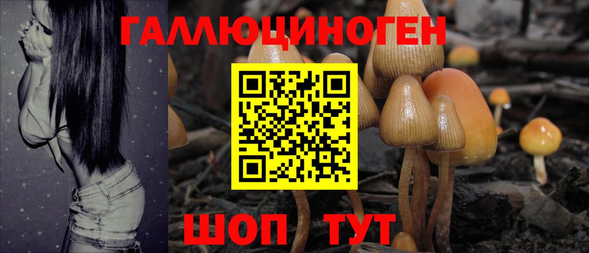 Псилоцибиновые грибы MAGIC MUSHROOMS Аша